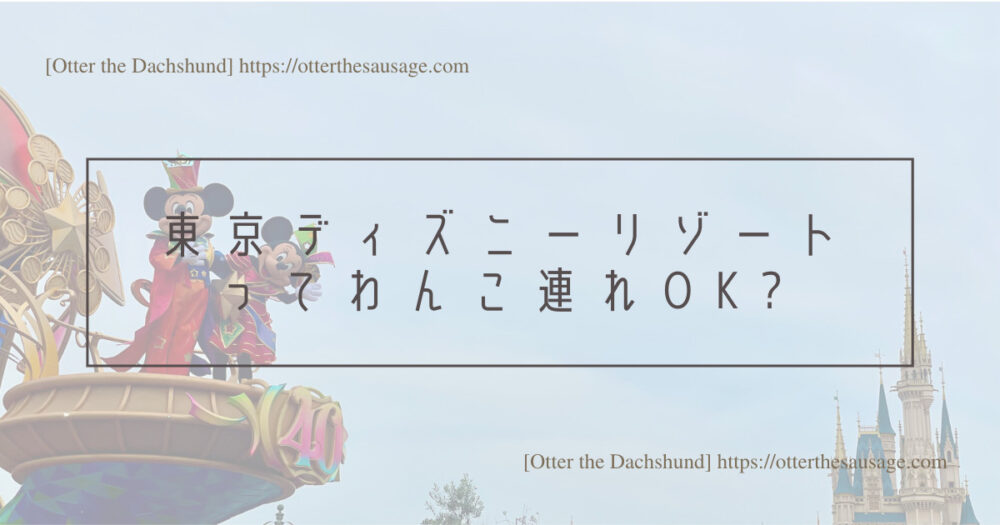 Header Image_Otter the Dachshund_travel with dogs_hang out with dogs_犬旅ブログ_犬とお出かけブログ_tokyo-disney-land_home-store-where-you-can-buy-dog-goods_東京ディズニーリゾートってわんこ連れで行ける？